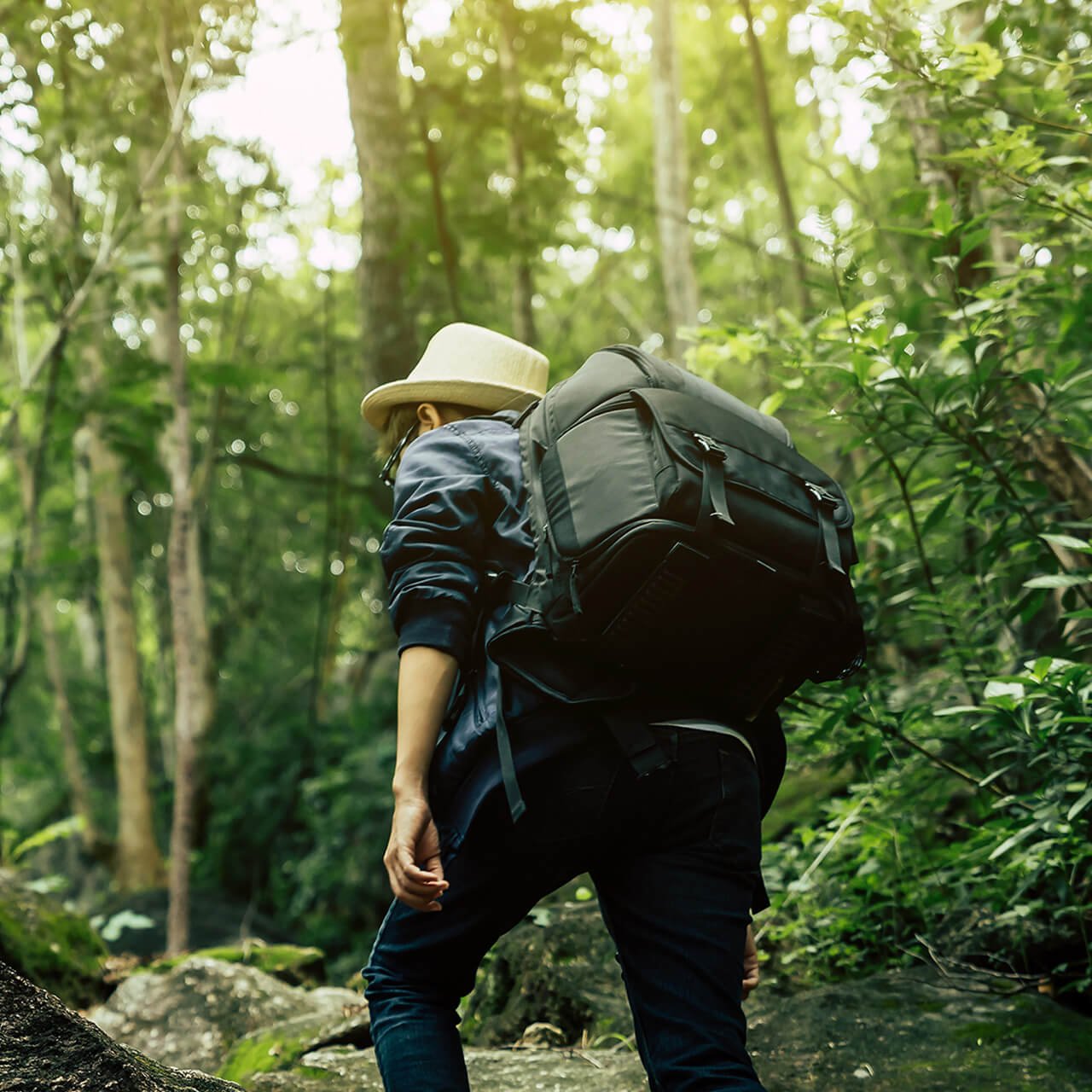 Protecting the Chowaki forest ecosystem